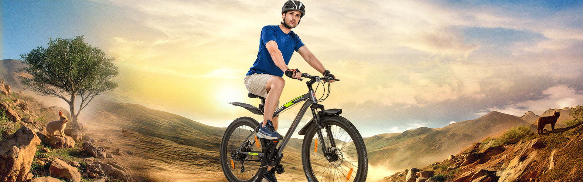 Mountain Bicycles