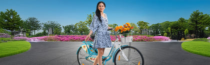 Ladies Bicycle