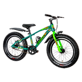 Kids bicycle designed in blue and green.