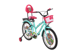 Kross Blue Bell 20T Kids Bicycle Green | 20 Inch Steel Frame Single Speed Cycle with Training Wheels, Front Basket & Rear Carrier