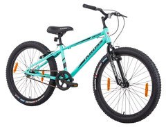 DARWIN KROSS 24T GREEN(P3242)SS BK AL/RM