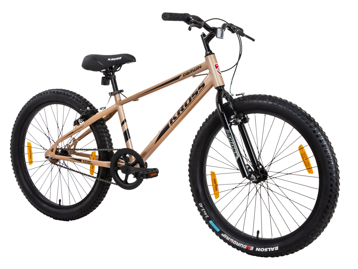 DARWIN KROSS 24T GOLD(7648)SS BK AL/RIM