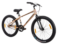DARWIN KROSS 24T GOLD(7648)SS BK AL/RIM