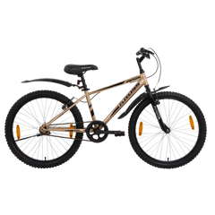 DARWIN KROSS 24T GOLD(7648)SS BK AL/RIM