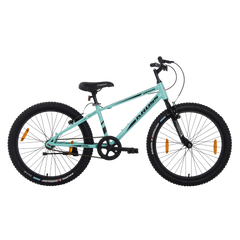 DARWIN KROSS 24T GREEN(P3242)SS BK AL/RM