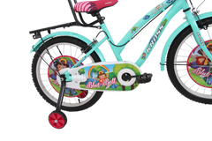 Kross Blue Bell 20T Kids Bicycle Green | 20 Inch Steel Frame Single Speed Cycle with Training Wheels, Front Basket & Rear Carrier