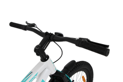 Maximus Pro Kross 24T Mountain Bike – Matte White, Single Speed / Double Disc, 24-Inch Wheels